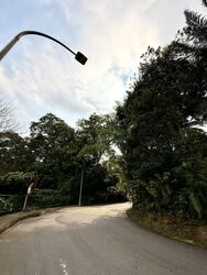 Cluny Park (D10), Detached #560244431